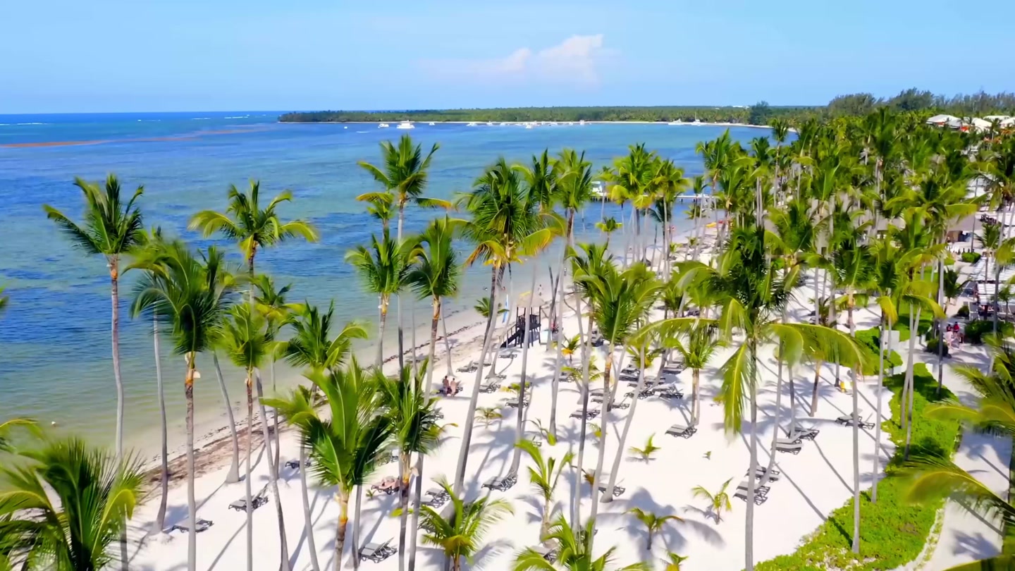 Промосайт Caribbean Logistics Summit